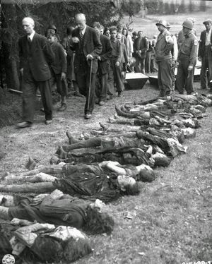 Ucrania: El mito de Holodomor: Documentos que desenmascaran la falsificaciÃ³n