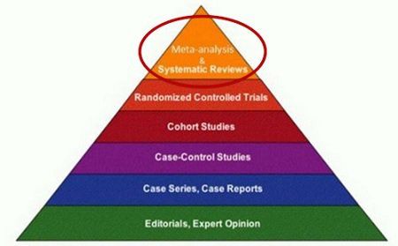 pirámide científica