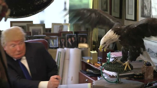 Donald Trump águila