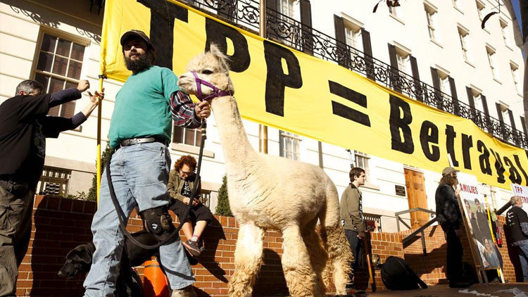 TPP llama alpaca trans pacific treaty