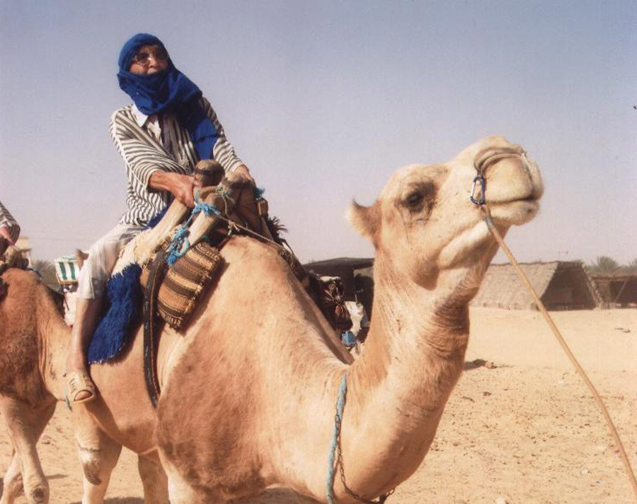 Tunisian camel