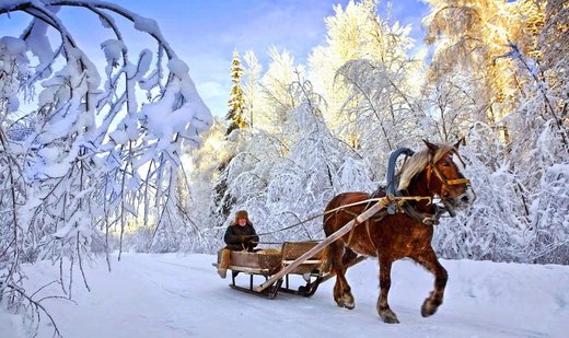 Russia winter