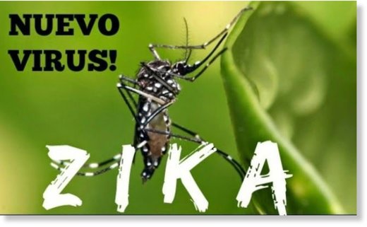 nuevo virus zika