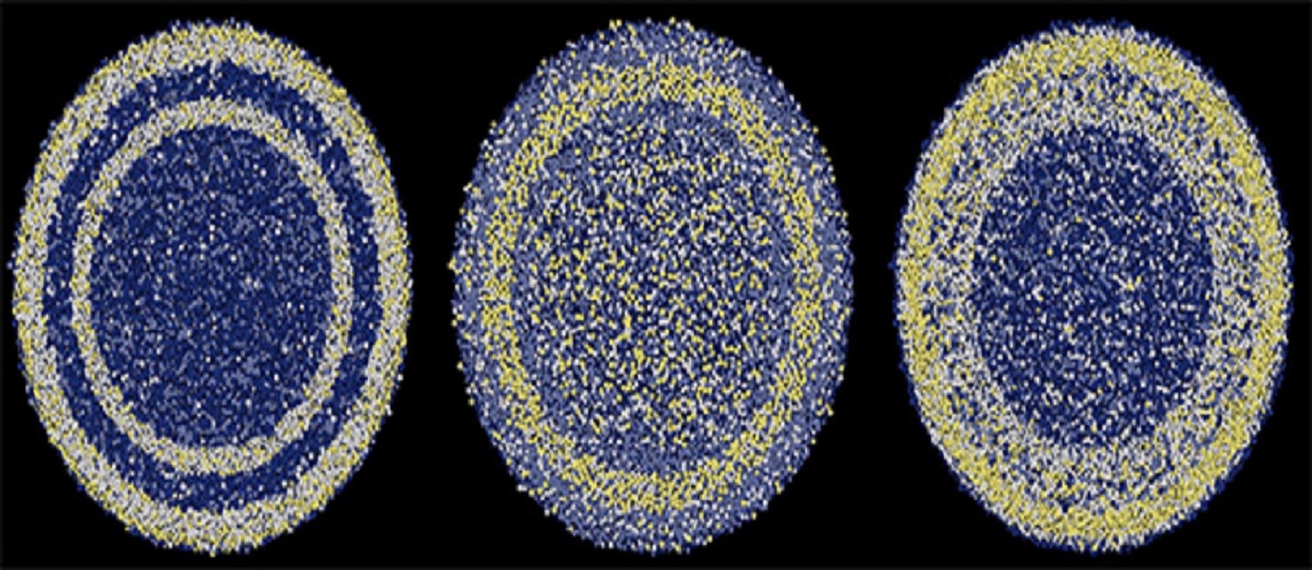 neuronas 