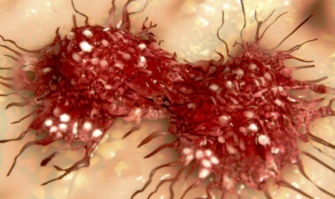 Célula cancerígena 