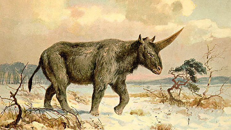 unicornio