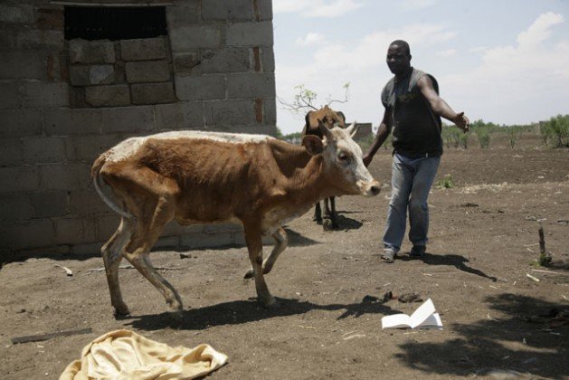 sequía hambruna en Zimbabwe El Niño