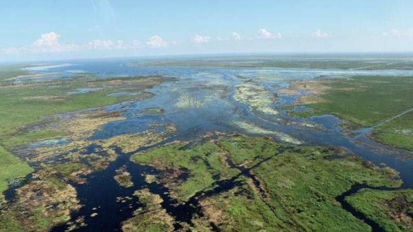 Florida algal blooms