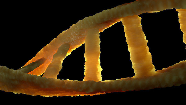 genes adn dna 