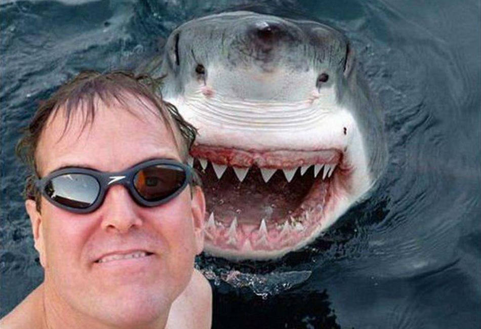 selfies tiburon