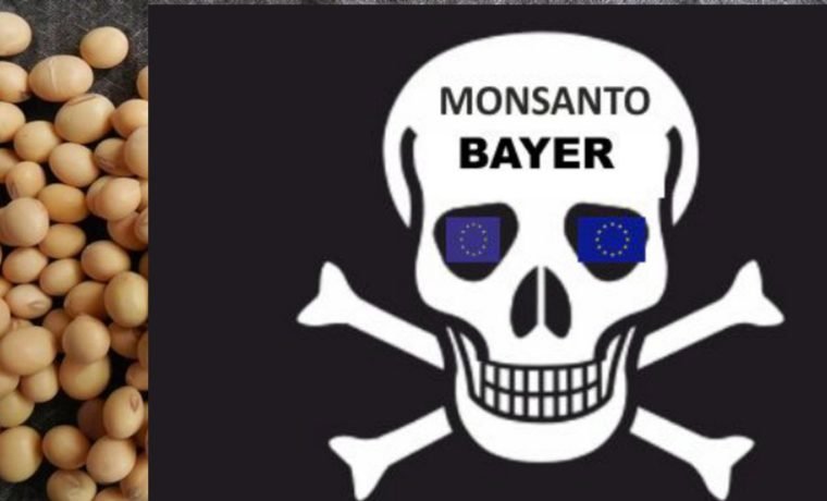 Monsanto Bayer Genfood 