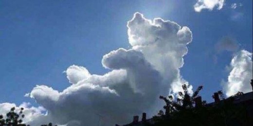 Teddy Bear Cloud