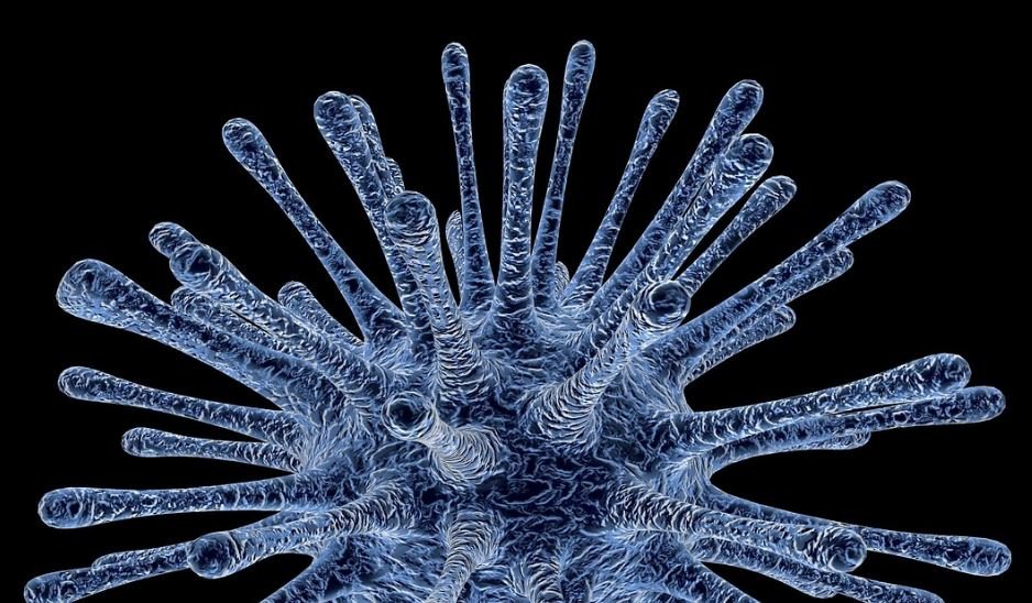 Clic para aumentar virus