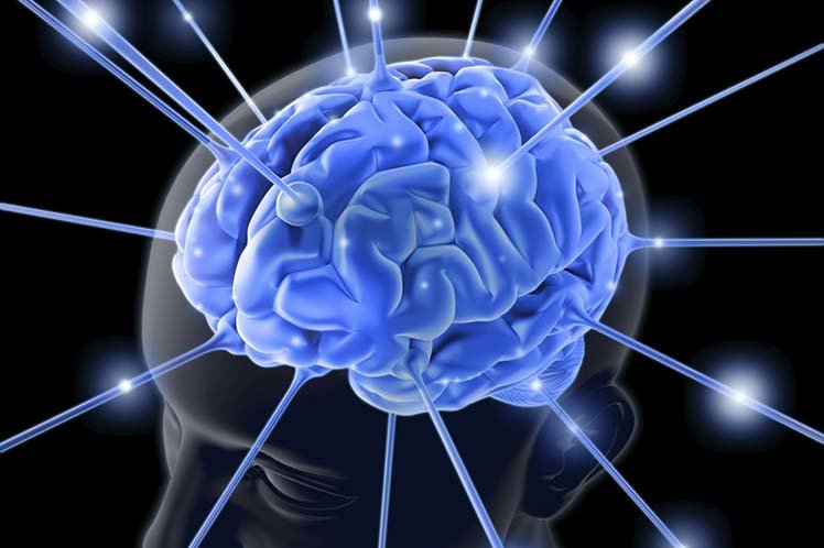 cerebro