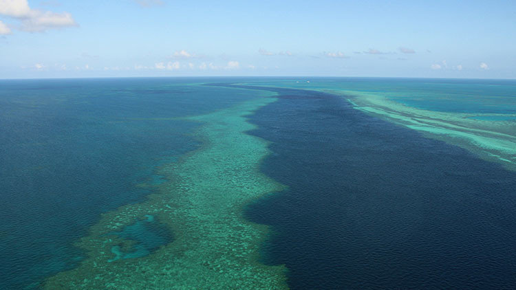 La Gran Barrera de Coral a vista de pájaro.