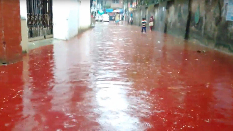 bangladesh river rio sangre blood 