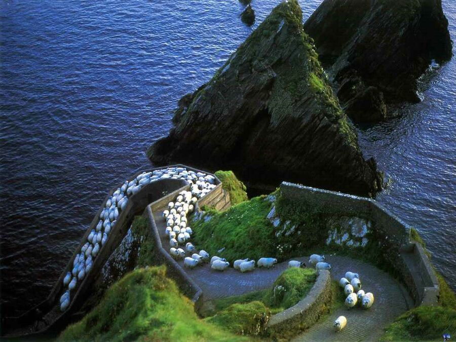 Island