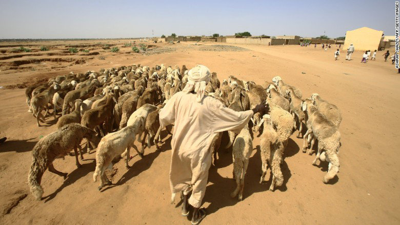 Pastoreo en Sudan