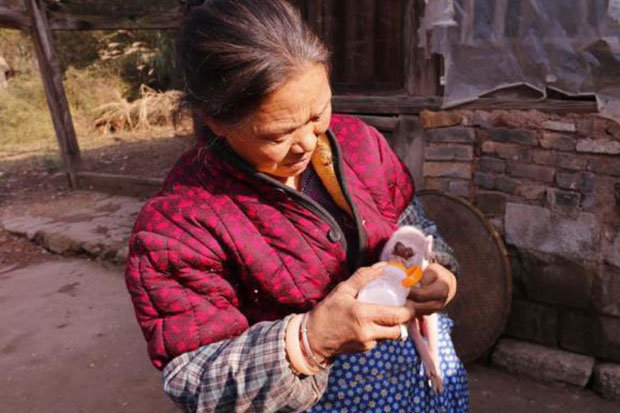  Lin has already turned down some generous offers for the piglet