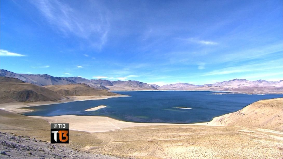 Laguna maille