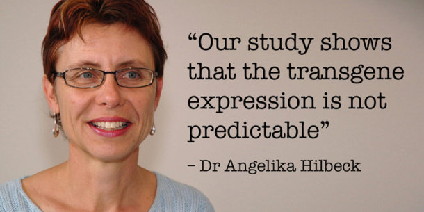Científica Angelika Hilbreck