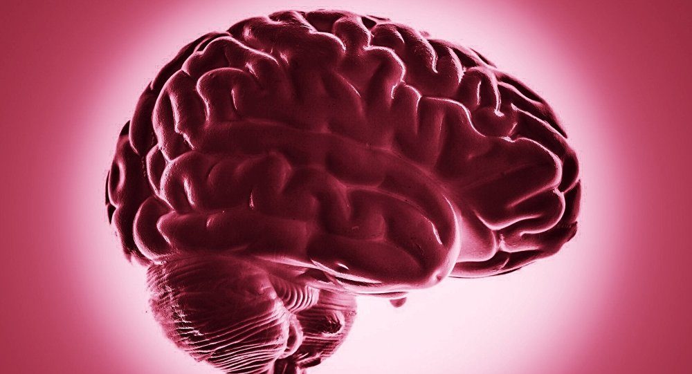 cerebro