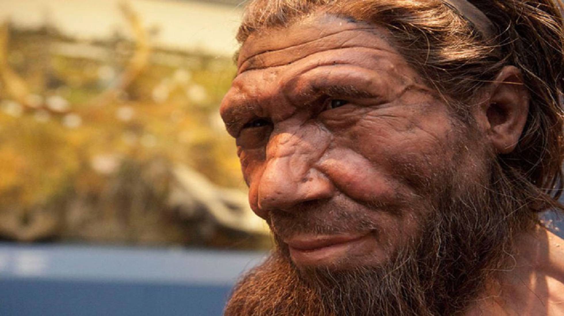 neandertal