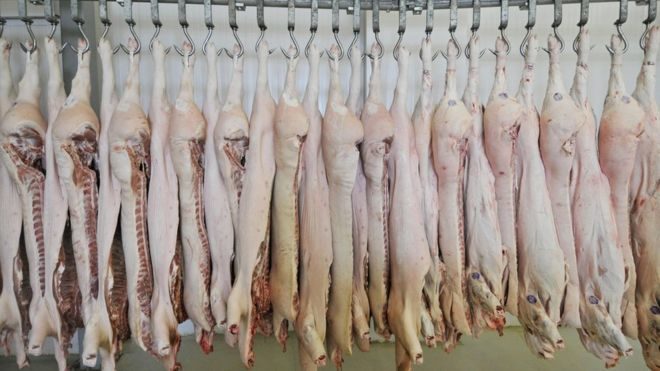 carne brasil