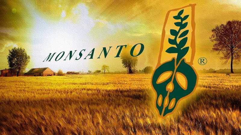 Monsanto GMO's