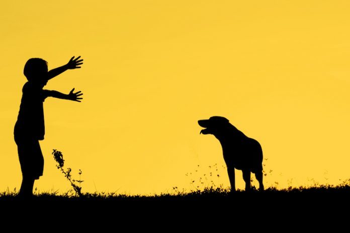 Estrés / Shutterstock