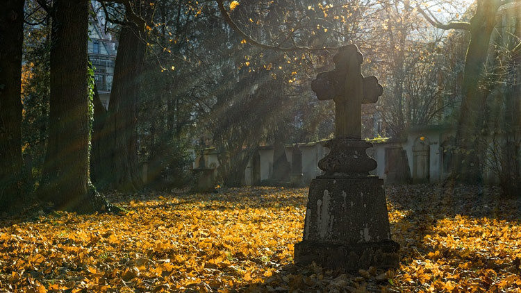 cementerio cementery 