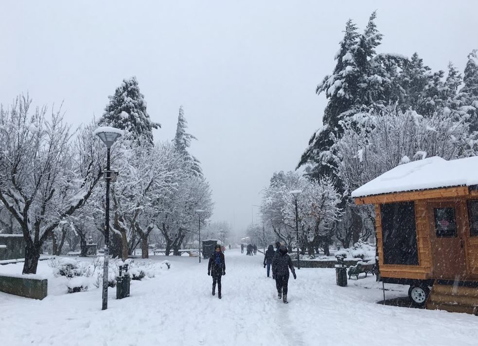 nieve chile