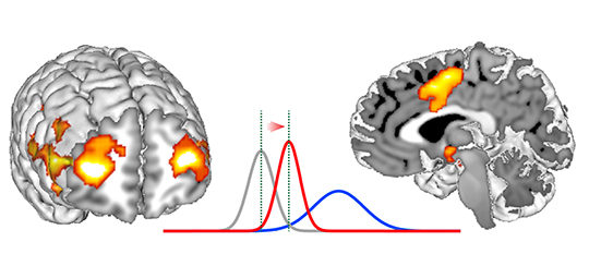 regiones cerebrales decisión social