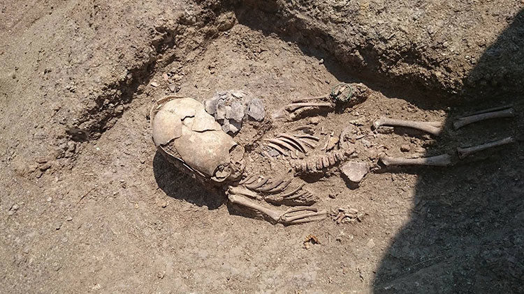 crimea bones huesos