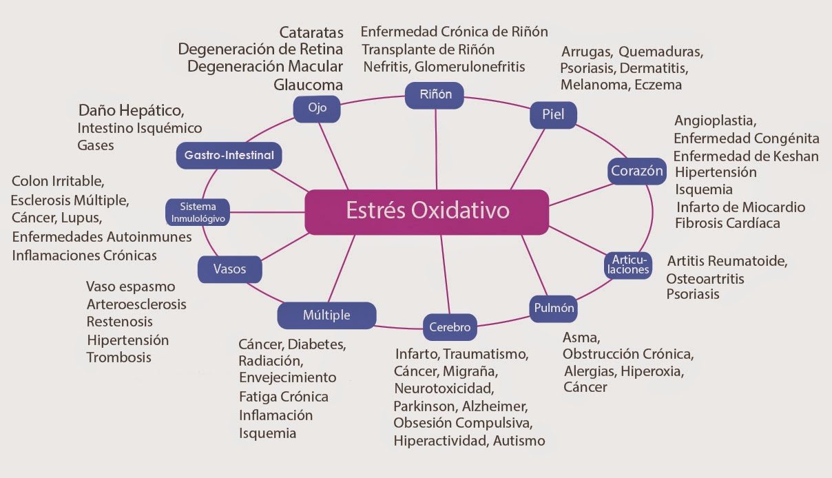 estrés oxidativo