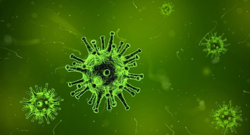 virus