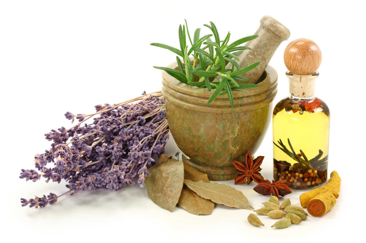 hierbas medicinales