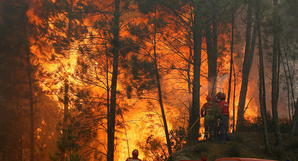 incendio fire portugal