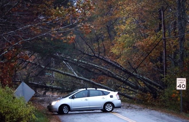 Un conductor se regresa porque el camino está bloqueado por un gran árbol derribado por los fuertes vientos y lluvias.