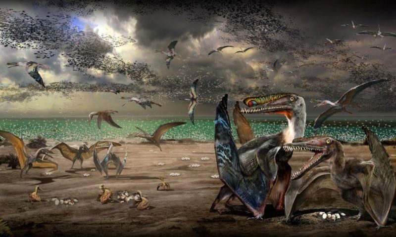 pterosaurio