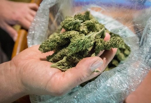 ¿Qué podemos esperar ahora que la OMS sugirió no catalogar la marihuana medicinal como droga?