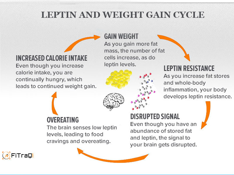 leptin resistance