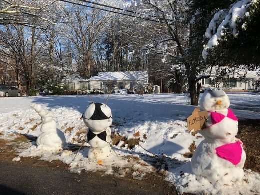 Snow, Florida