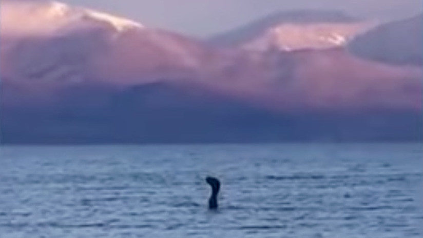 nessie en los balcanes