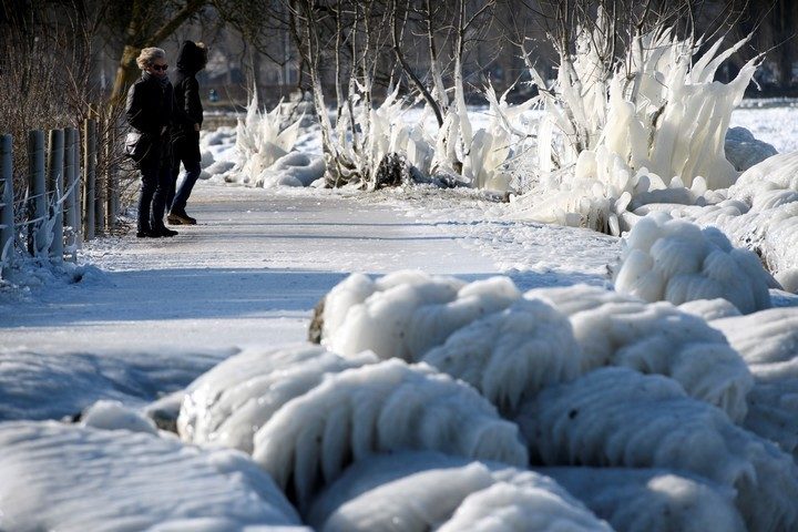 Rocas cubiertas de hielo y plantas en las costas heladas del lago de Neuchatel, en Yverdon-les-Bains, Suiza, el lunes 26 de febrero de 2018.