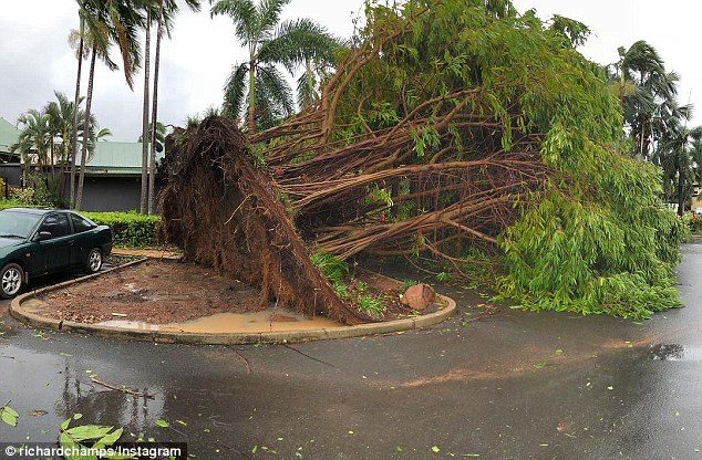 Darwin was ripped apart after Tropical Cyclone Marcus tore through earlier today