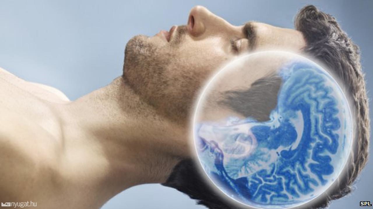 cerebro dormir memorias