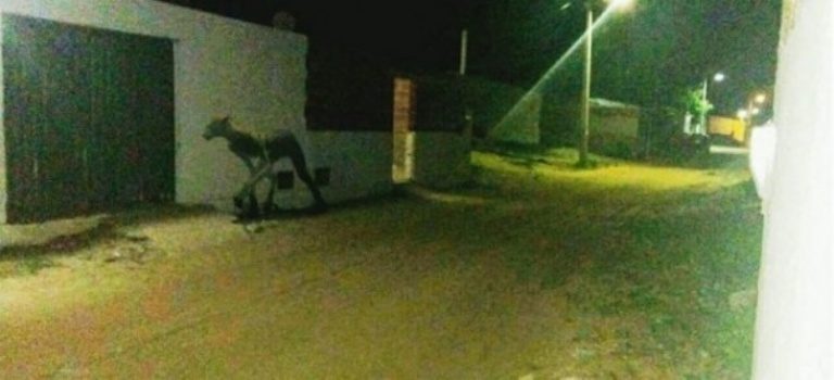 captura