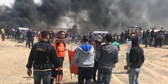 Gaza protests