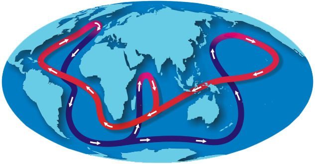El 'Global Ocean Conveyor Belt' (cinta transportadora oceánica), que mueve corrientes de agua en los océanos.